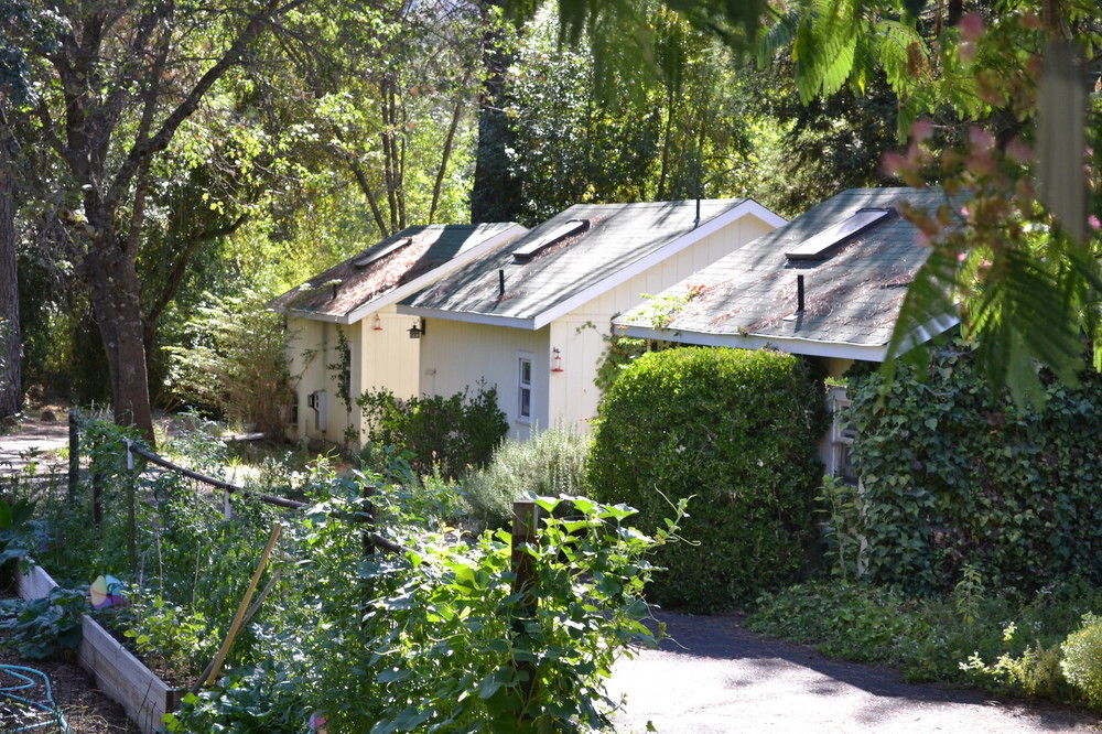 Bed and Breakfast Backyard Garden Oasis Middletown Экстерьер фото